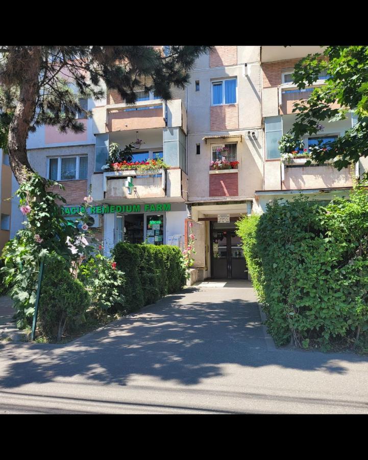 Hermann Apartment Cluj-Napoca Buitenkant foto
