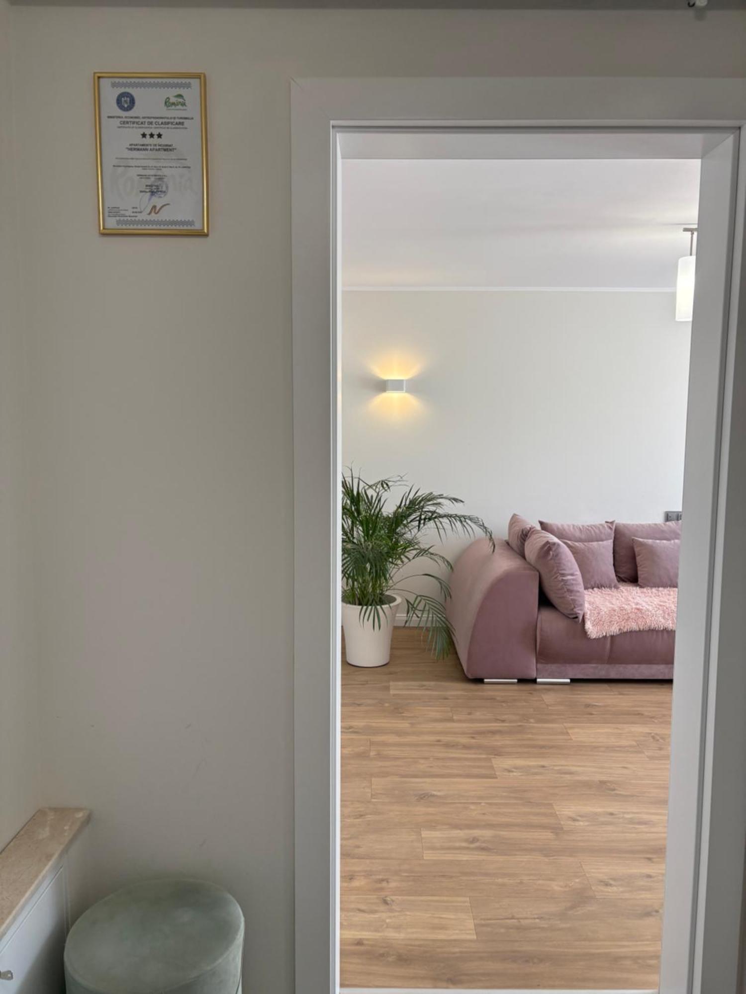 Hermann Apartment Cluj-Napoca Buitenkant foto